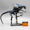 AMAZING YAMAGUCHI Alien vs. Predator Action Figure #018 PVC Collection 20cm Xenomorph XX121 Alien Queen Figurine Model Toys Gift