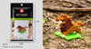 smartappliancehub.myshopify.com Mini Building Blocks 3D Animal  Diamond Model Micro Bricks Dog Cat Bird Moose Wolf Panda Macaw Toys For Children Birthday Gifts Mini Building Blocks 3D Animal  Diamond Model Micro Bricks Dog Cat Bird Moose Wolf Panda Macaw Toys For Children Birthday Gifts [product_type] SmartApplianceHub smartappliancehub.myshopify.com B7 B7  